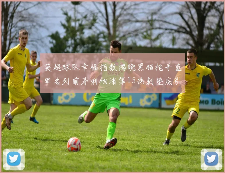 英超球队幸福指数揭晓黑猫枪手蓝军名列前茅利物浦第15热刺垫底引关注